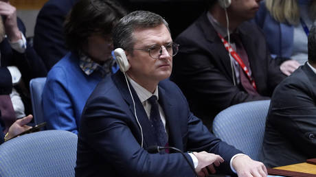 Ukrainian Foreign Minister Dmitry Kuleba at the UN Security Council, New York, February 23, 2024.