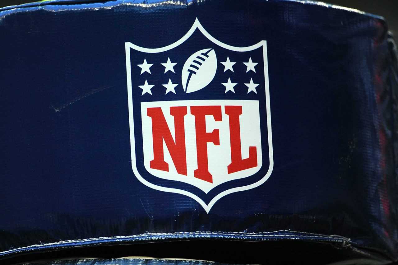 HOUSTON - NOVEMBER 09: The NFL shield logo on the goal post during play between the Baltimore Ravens and the Houston Texans at Reliant Stadium on November 9, 2008 in Houston, Texas.