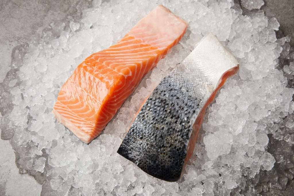 Raw Salmon