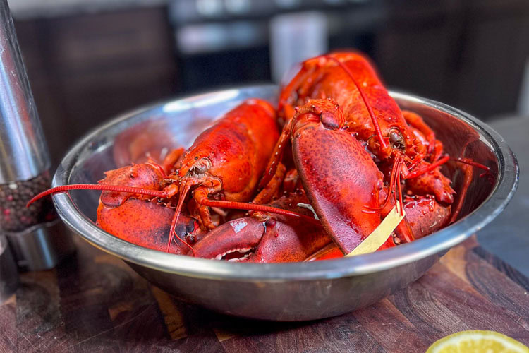 live lobster in a metal bowl