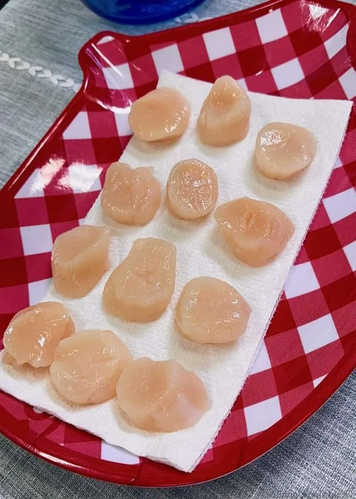 Raw Scallops