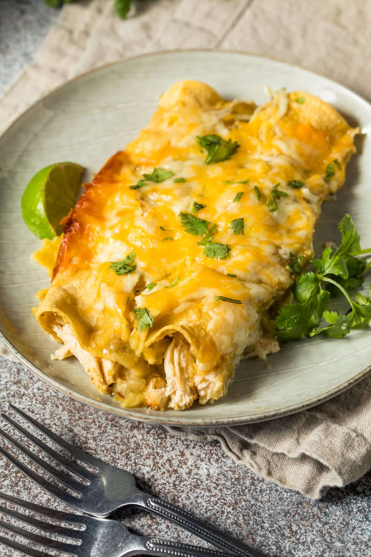 Plated chicken enchiladas