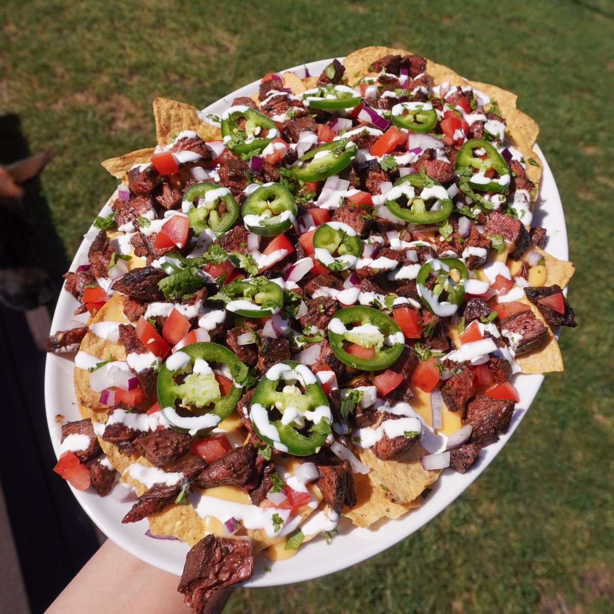 Steak Nachos