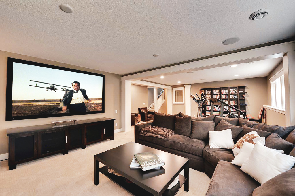 Basement Living Room