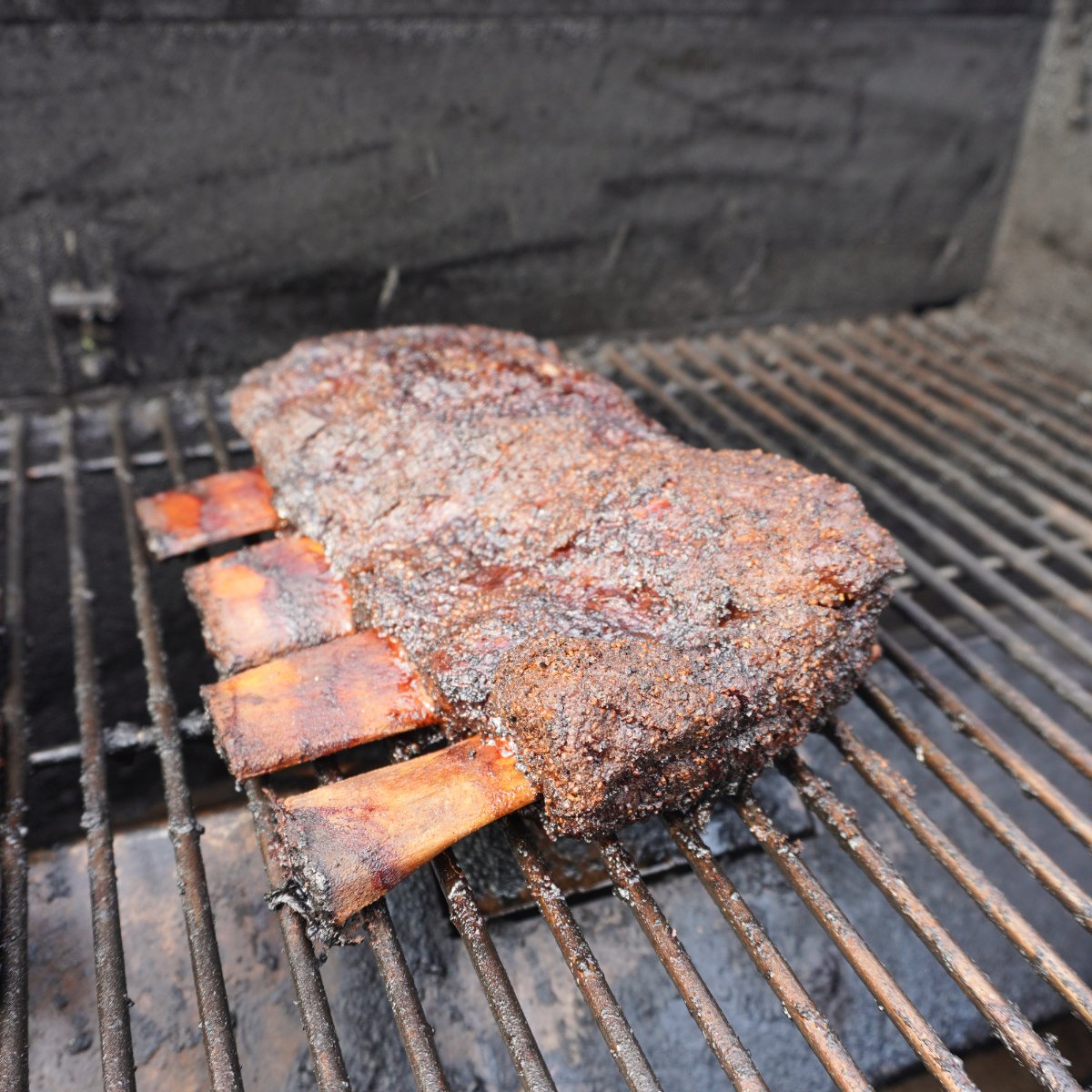 Smoked Beef Short Ribs