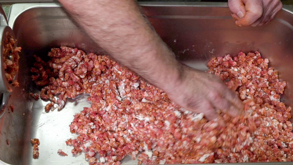 a hand mixing ground raw meat