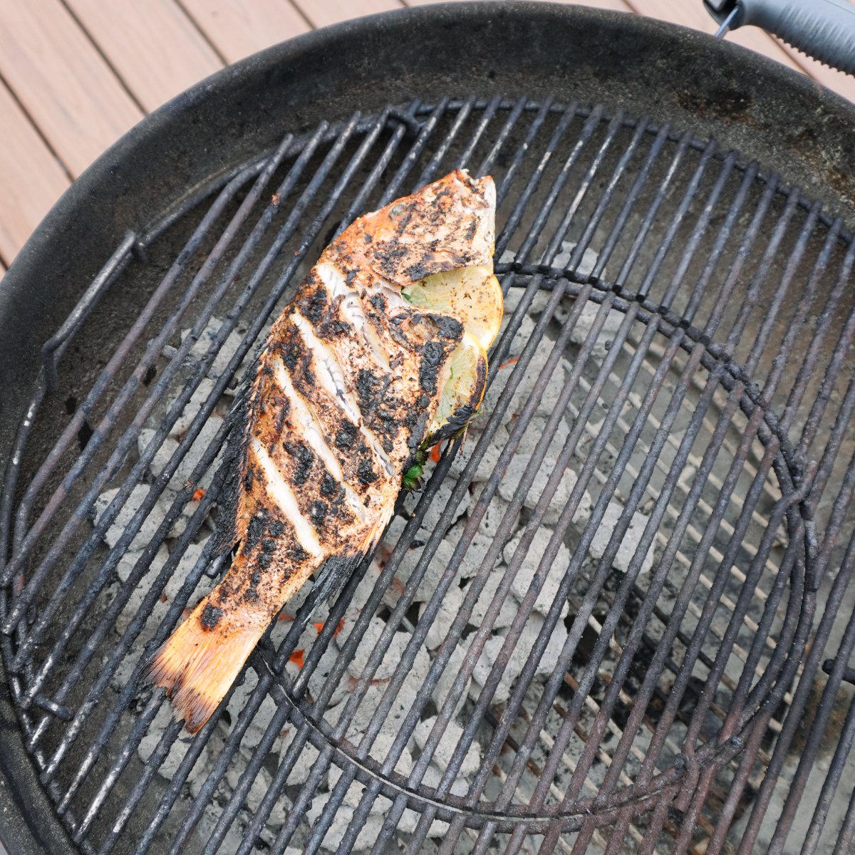 Grilled Red Snapper