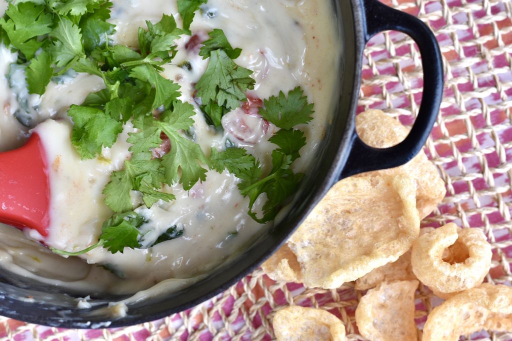 fire roasted queso cheese dip