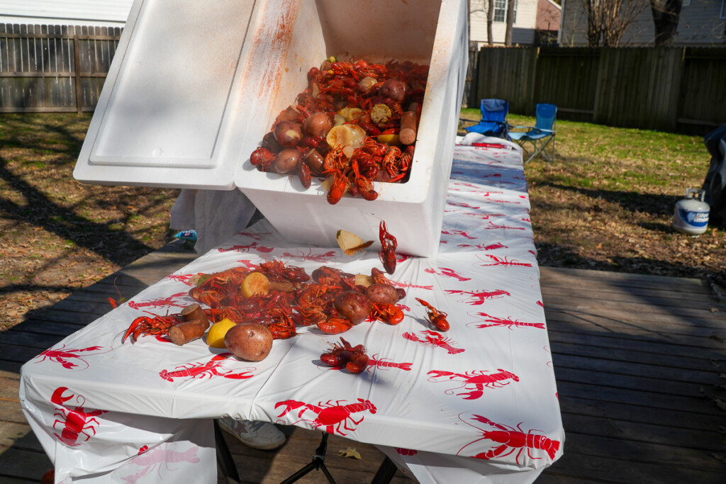 starting to pour the contents of a cooler of crawfish onto a table