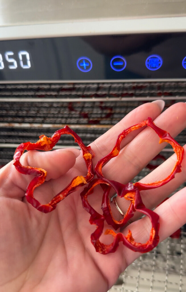 a hand holding dehydrated bell pepper slices