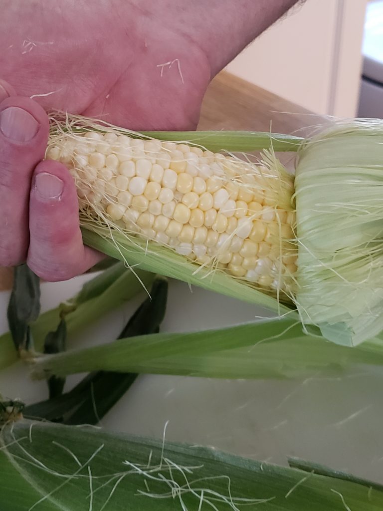 Husking Corn