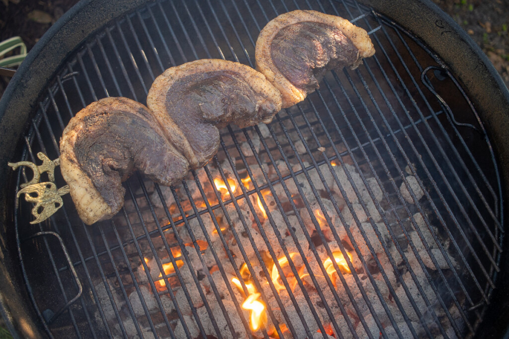 skewered steak on the grill over hot coals