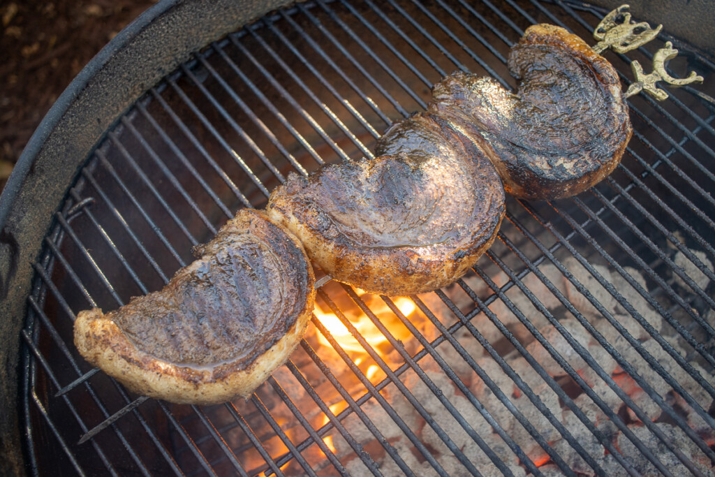 skewered steaks searing over hot coals