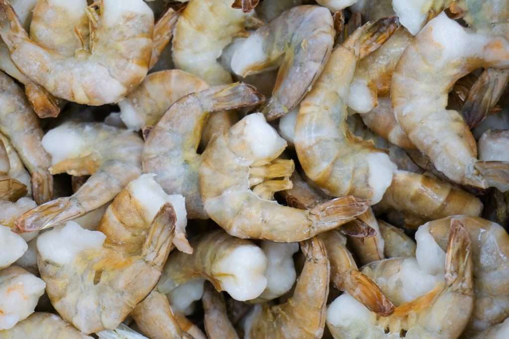 frozen-shrimp
