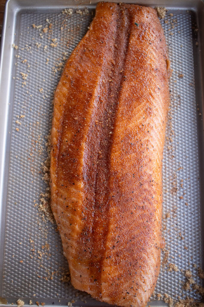a raw piece of seasoned salmon filet