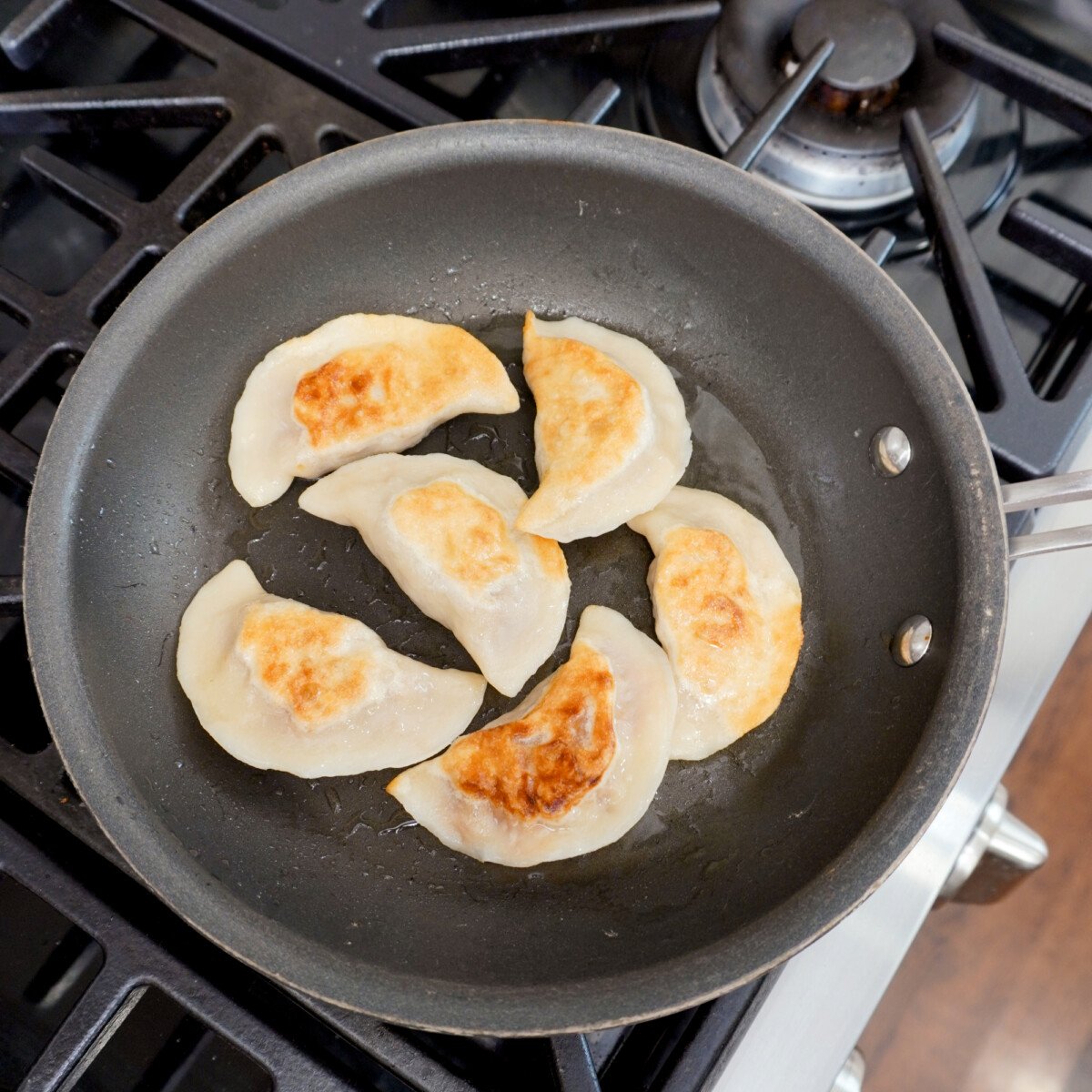 Pan seared pulled pork pierogi.