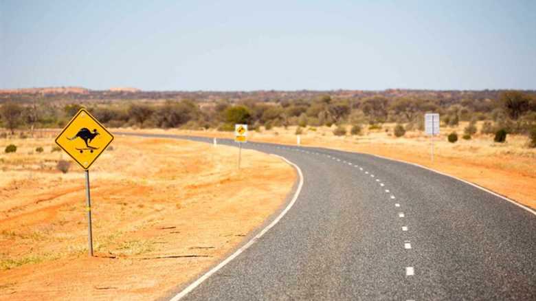 Are Bull Bars Worth It?