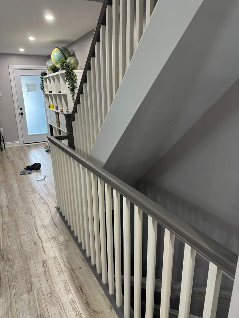 Full Basement Renovation in East York