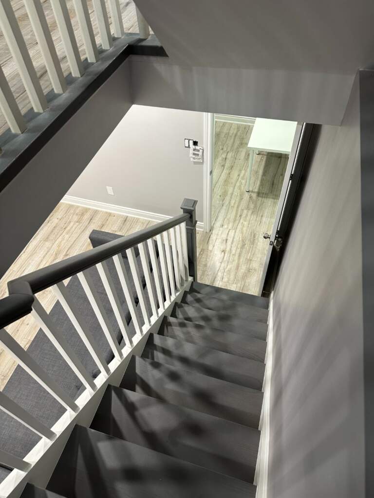 Full Basement Renovation in East York