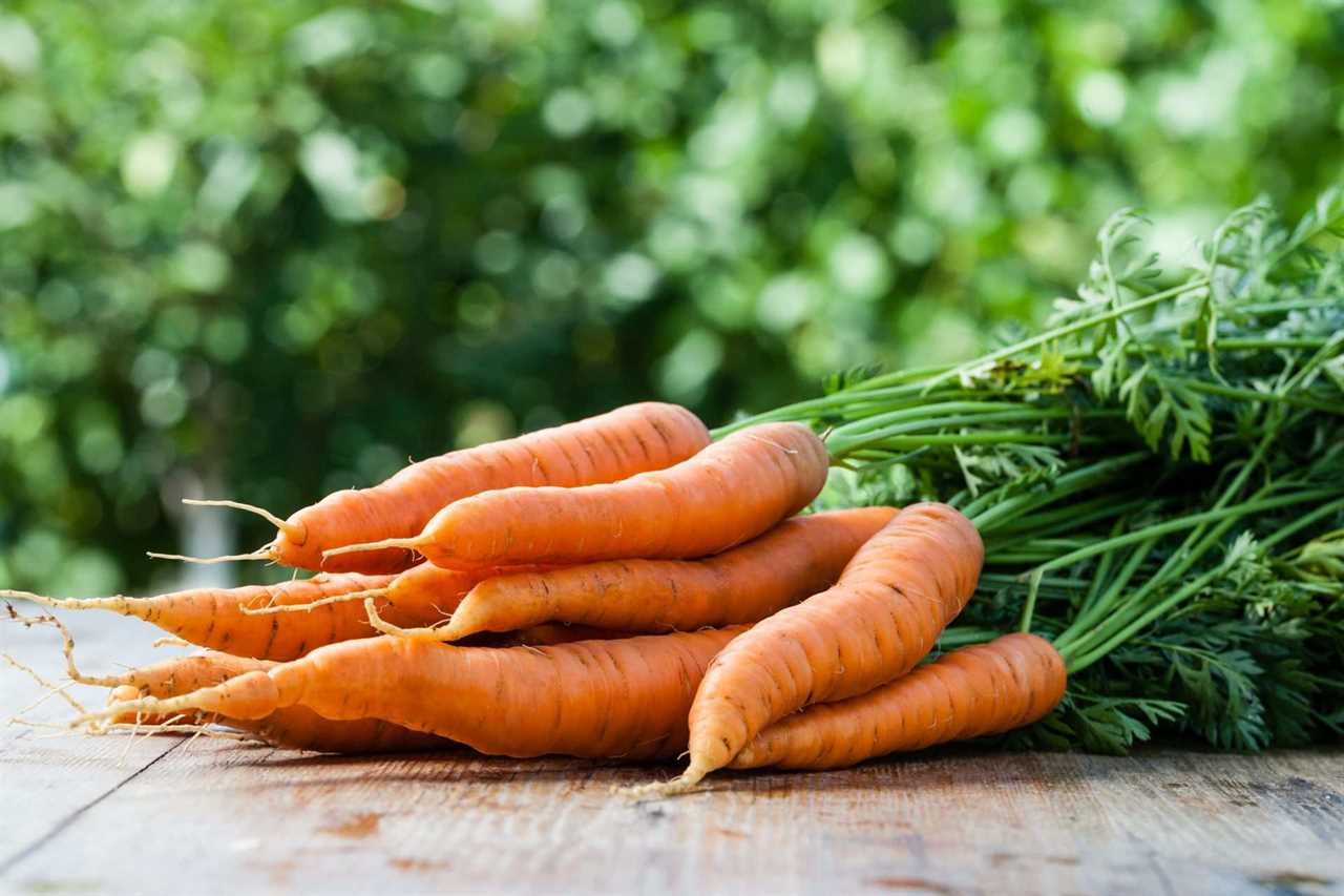 fresh bunch of carrots