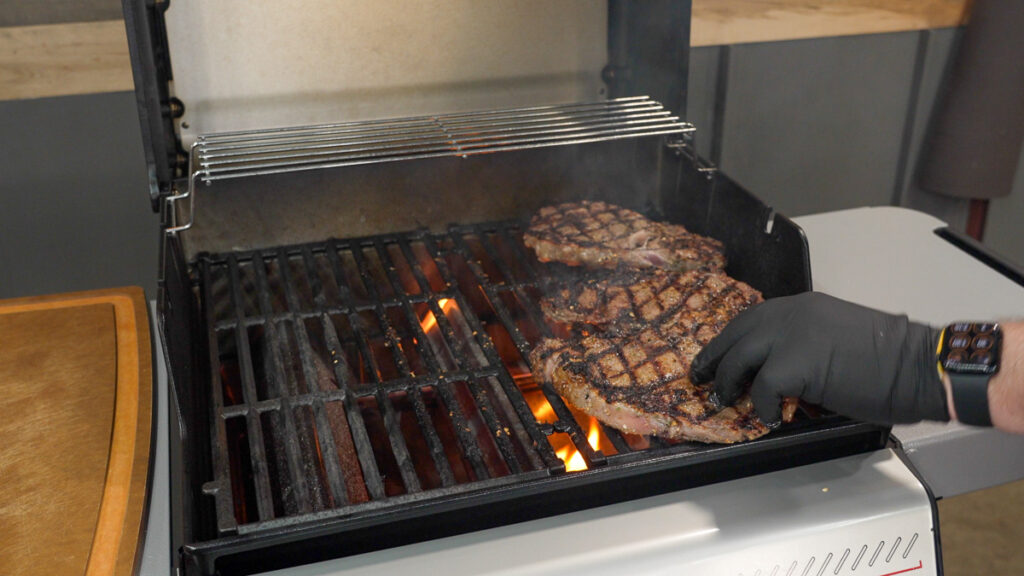 Weber Genesis Review: Hands-On Testing, Plus Which Model to Buy